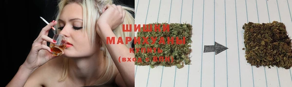 прущие грибы Майский