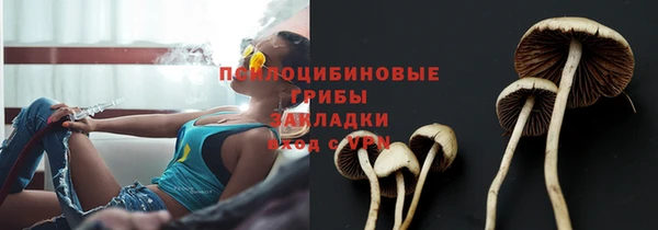 Альфа ПВП Артём