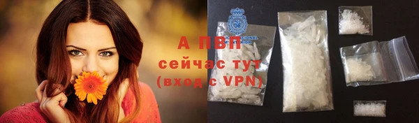 амф Магадан