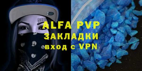 прущие грибы Майский