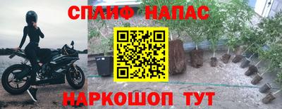 трава Аргун