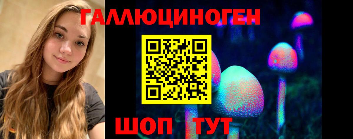 Галлюциногенные грибы Psilocybine cubensis  Ханты-Мансийск  Галлюциногенные грибы Psilocybe 